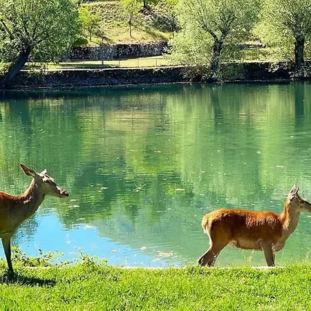 Via Giulia Apartment