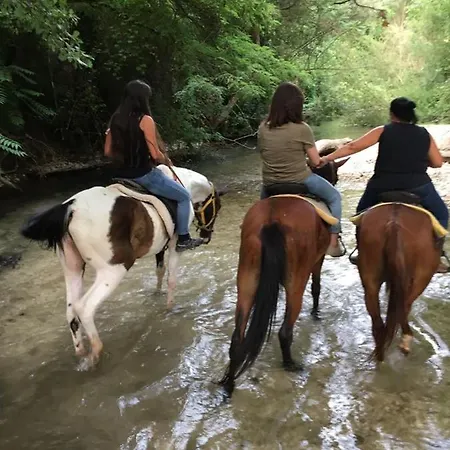 Apartment Via Giulia