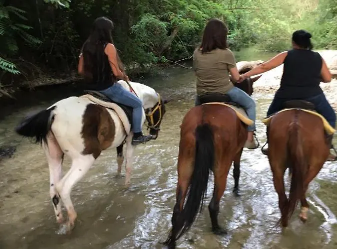 Apartamento Via Giulia